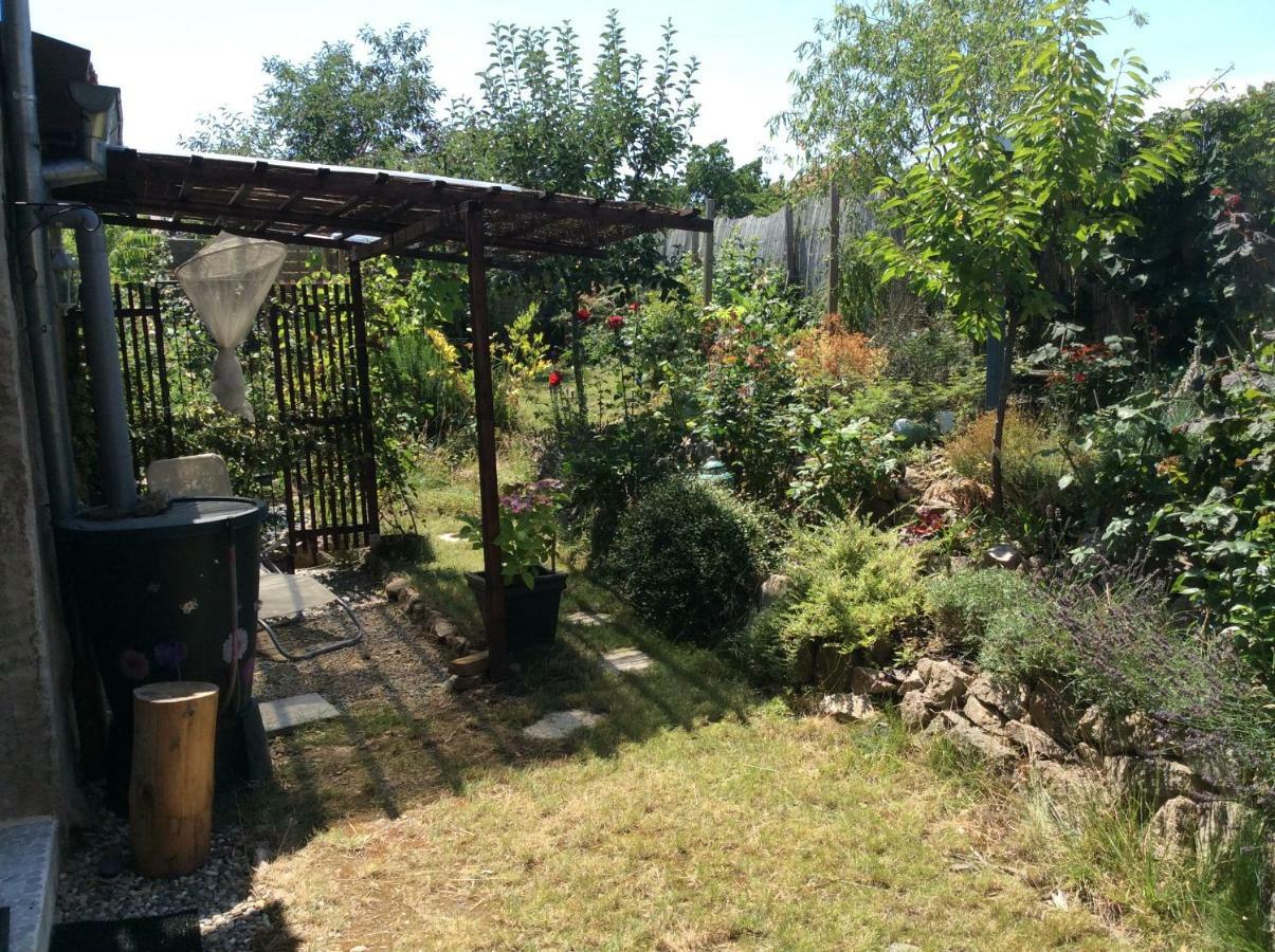 Gite Le Faucon Pelerin Scherwiller Exterior foto