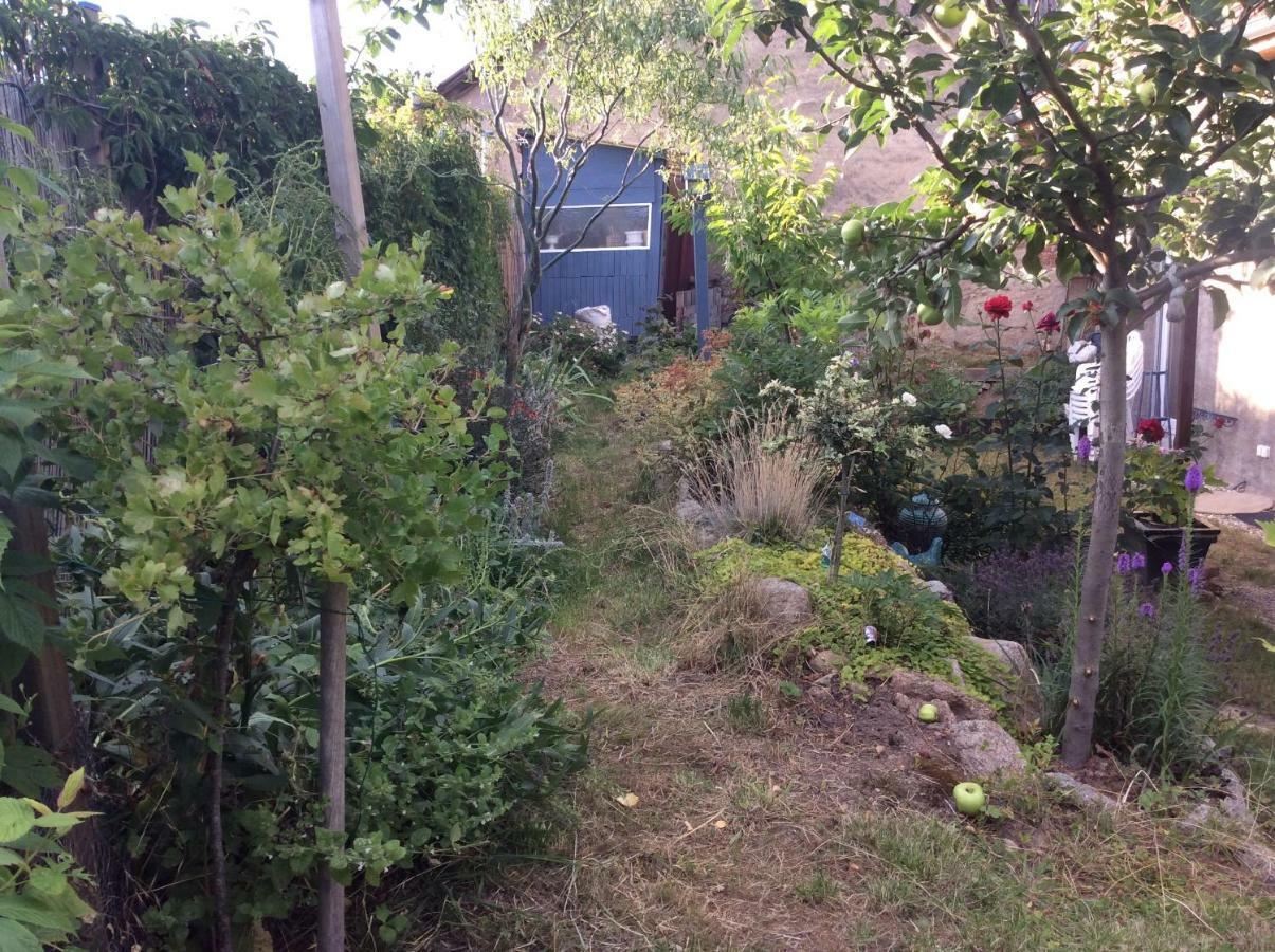 Gite Le Faucon Pelerin Scherwiller Exterior foto
